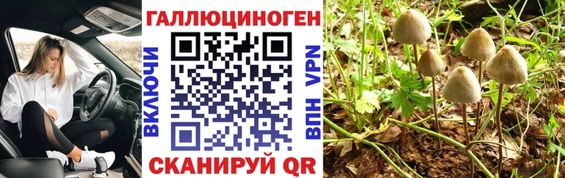 закладки  Йошкар-Ола  Псилоцибиновые грибы прущие грибы 