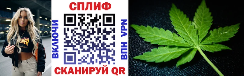 Конопля план Йошкар-Ола